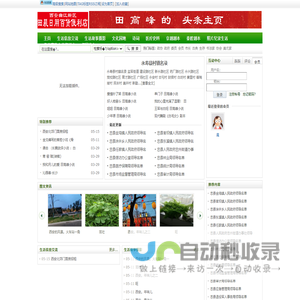 西安曲江新区田晨日用百货便利店