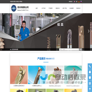 意大利诺伐公司