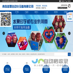 青岛蓝墨自动化设备有限公司